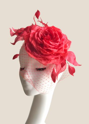 Rosa